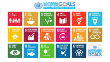 More than 9,000 companies have pledged to support the SDGs to date, but reporting is yet to be unified
